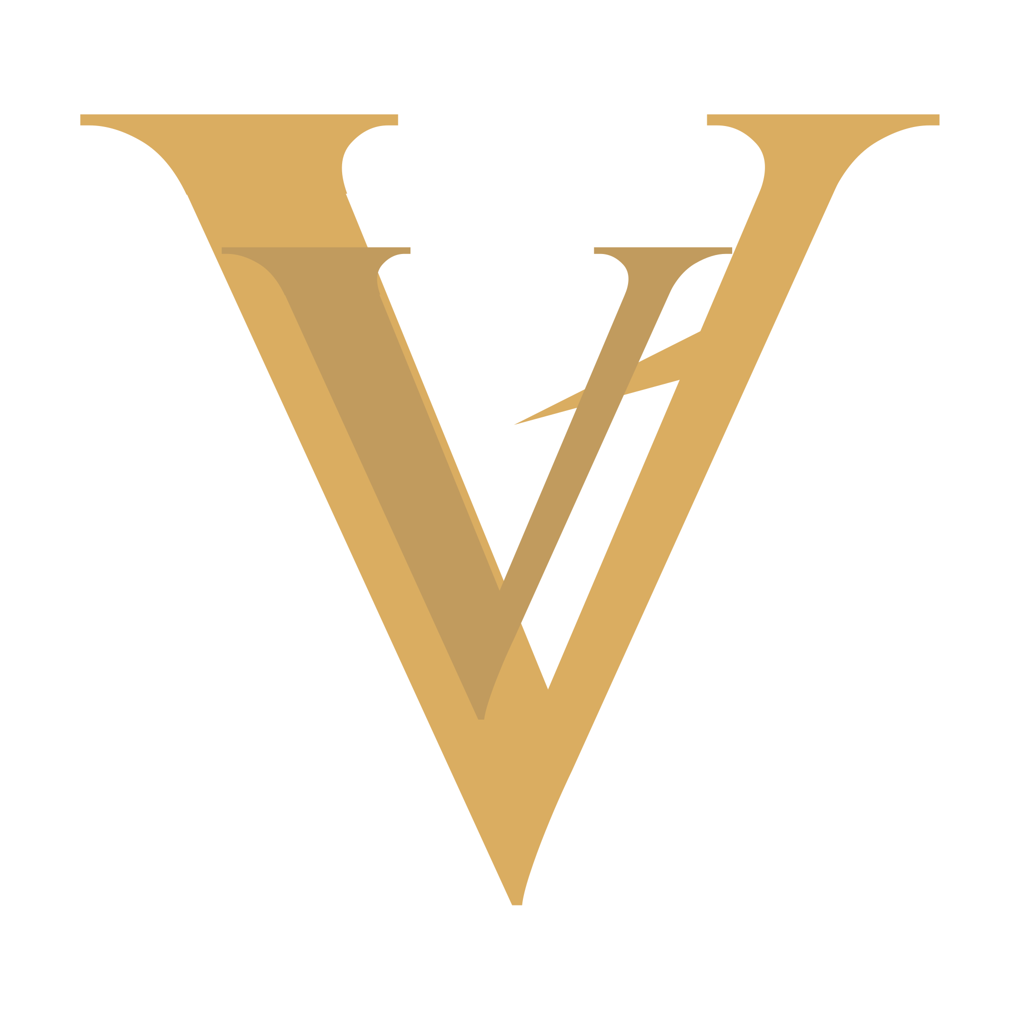 Virtus logo
